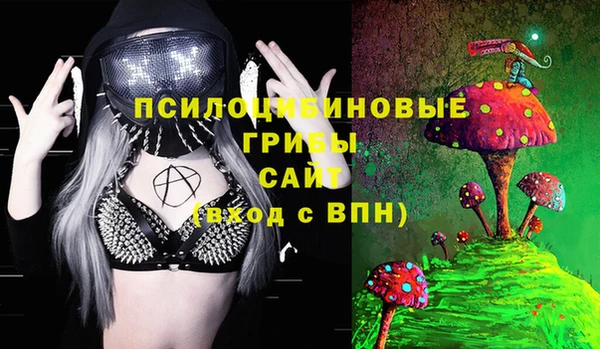 гидропоника Верея