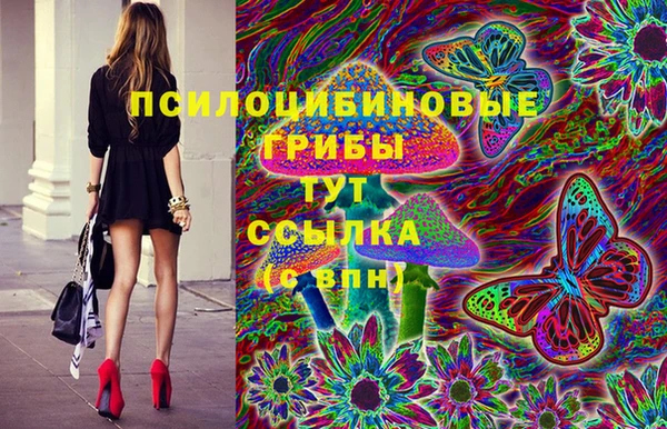 2c-b Верхний Тагил