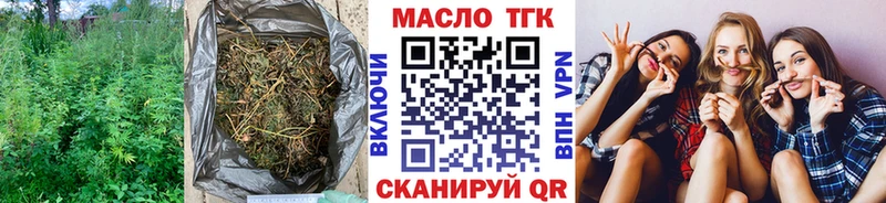 ТГК концентрат  как найти   Глазов 