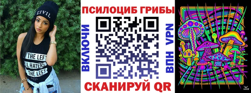 Псилоцибиновые грибы Psilocybe Глазов